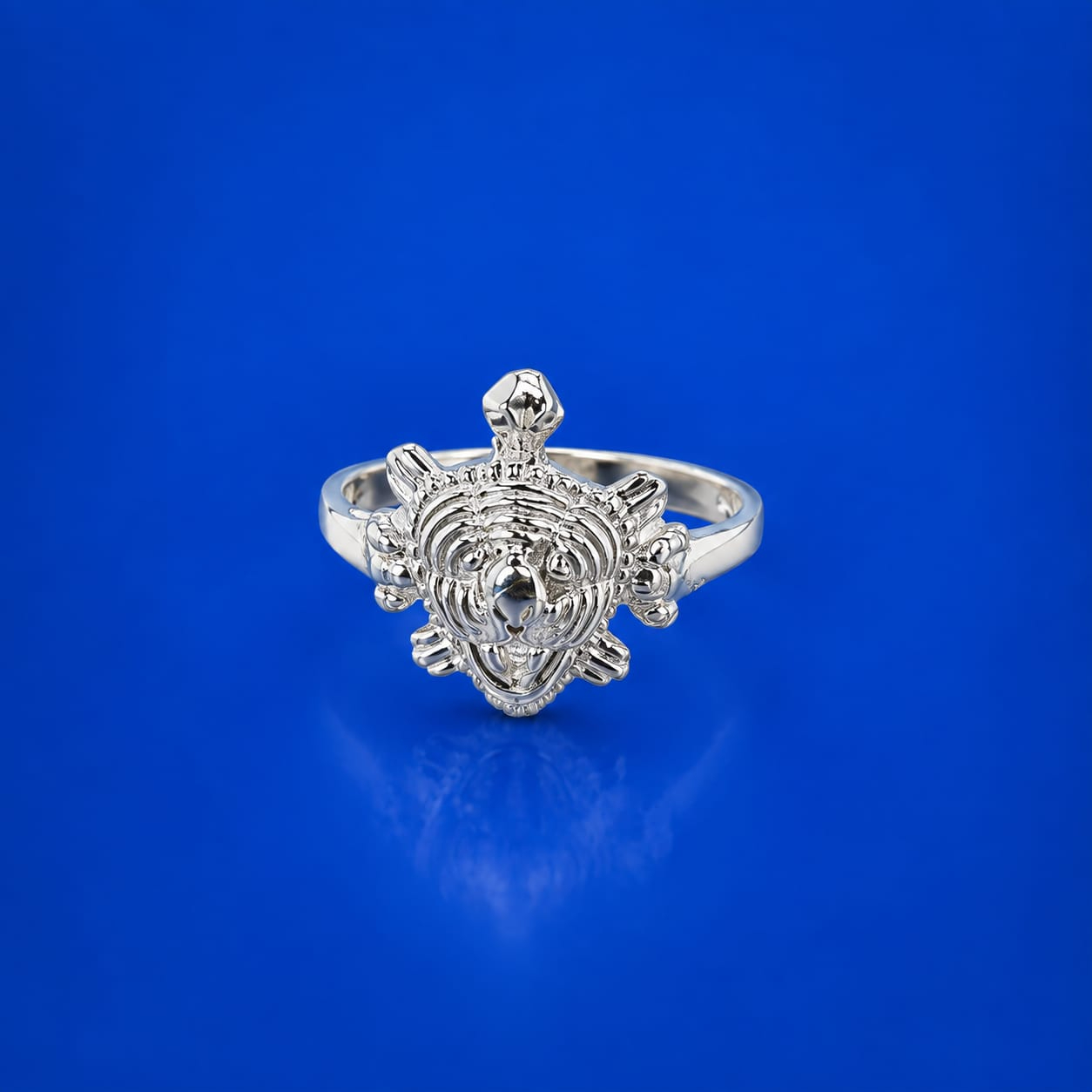 silver ring silver ring